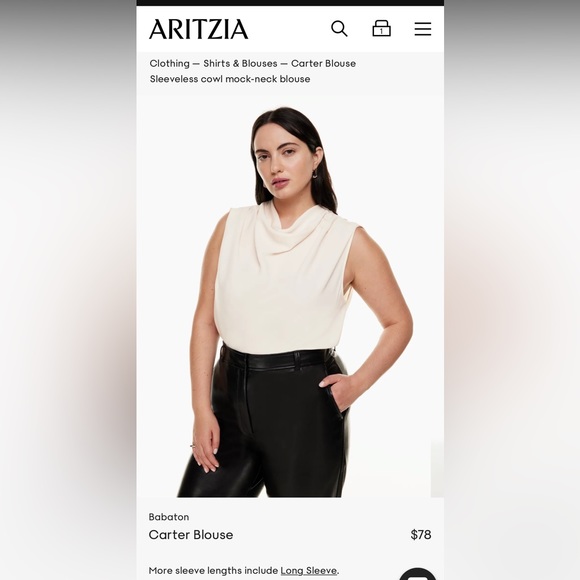 *sold* Babaton Cartier blouse - Picture 2 of 2